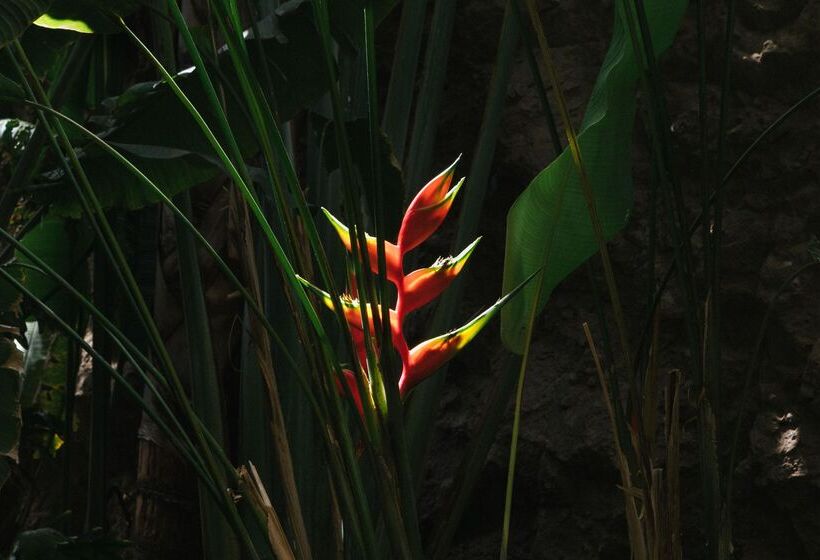 Salobre Hotel Resort & Serenity