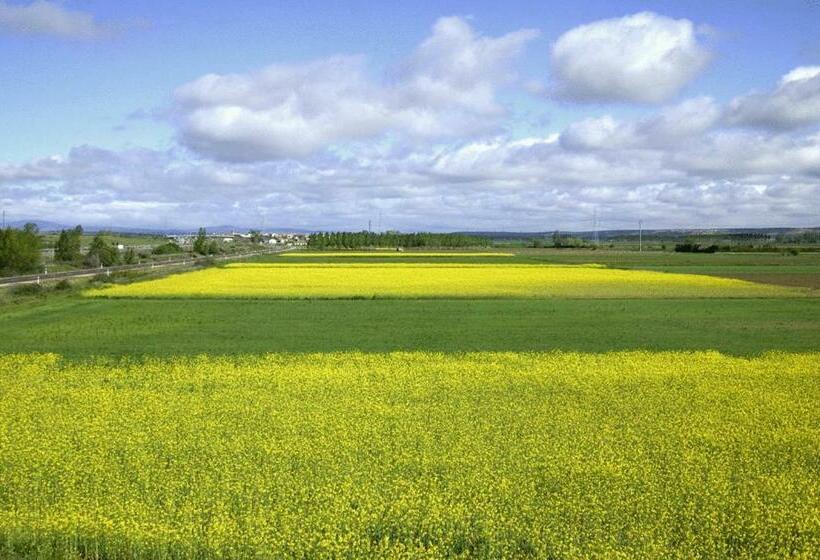 Señorío De Los Bazán