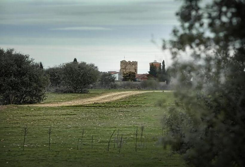 Señorío De Los Bazán