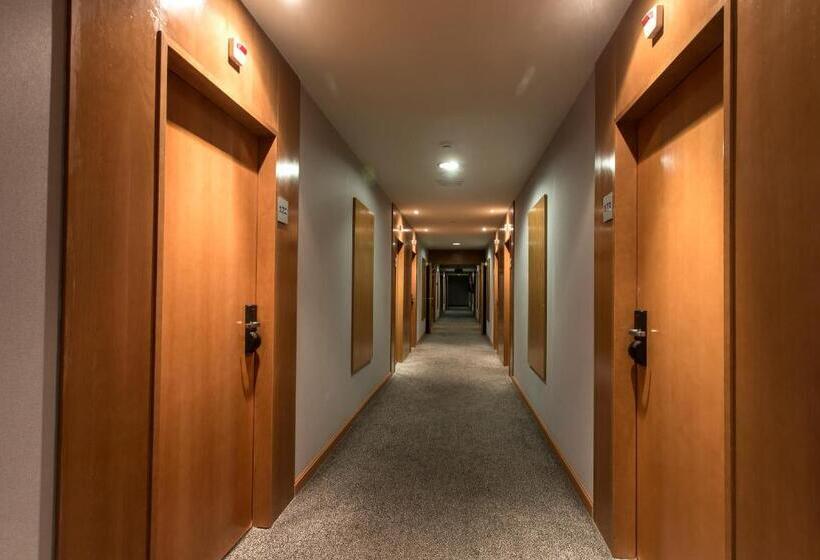 בית מלון כפרי Ag Express Elche