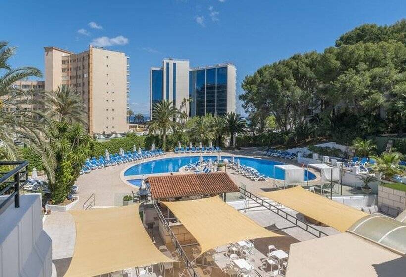 Sol Lunamar Palmanova Apartamentos - Adults Only