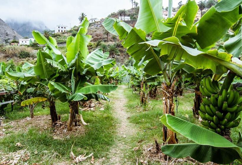 Apartamentos Los Telares