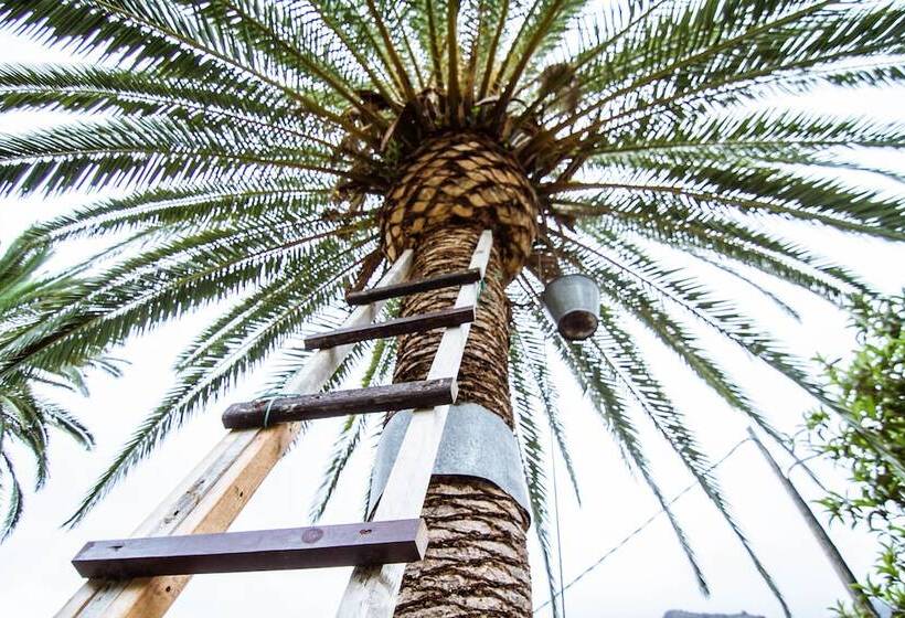 Apartamentos Los Telares