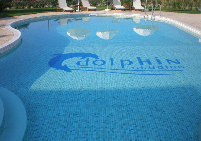 Dolphin Kastraki Studios