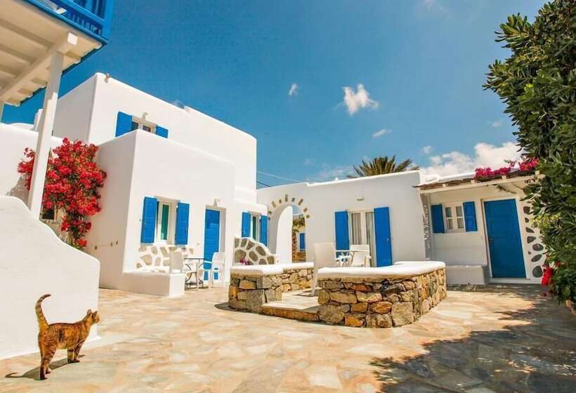 Elena Studios & Suites