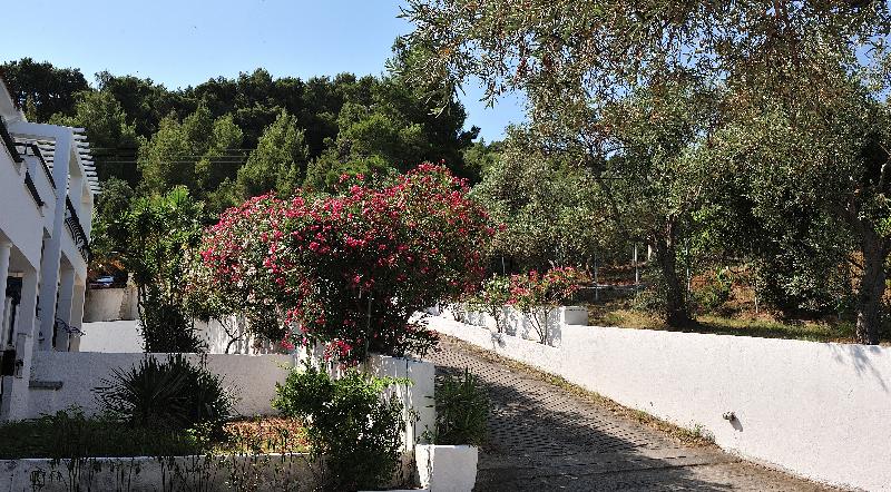 ホテル Anamar Skiathos