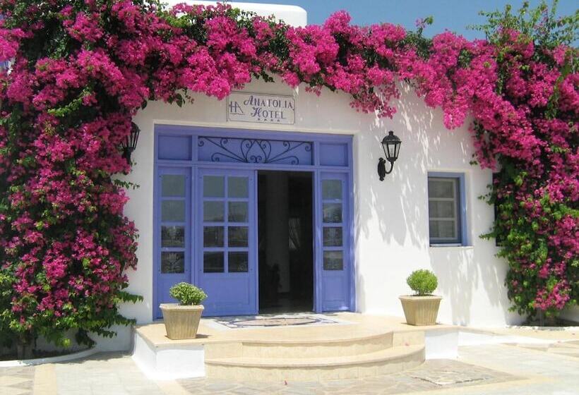 בית מלון כפרי Anatolia