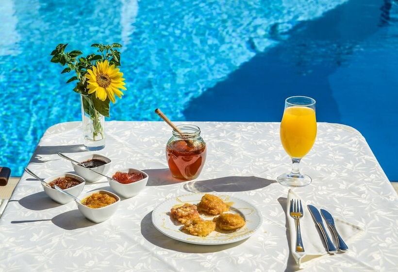 酒店 Astir Of Naxos