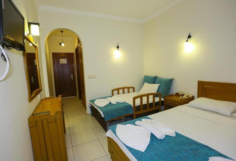 בית מלון כפרי Baba