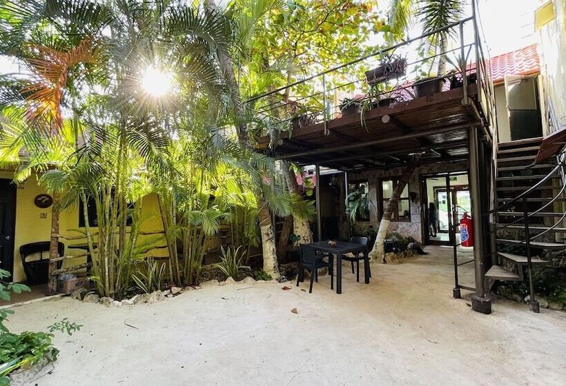 호텔 B&b   5th Avenue