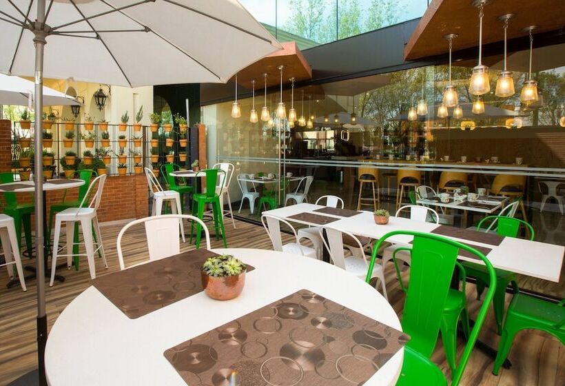 فندق Courtyard Toluca Airport