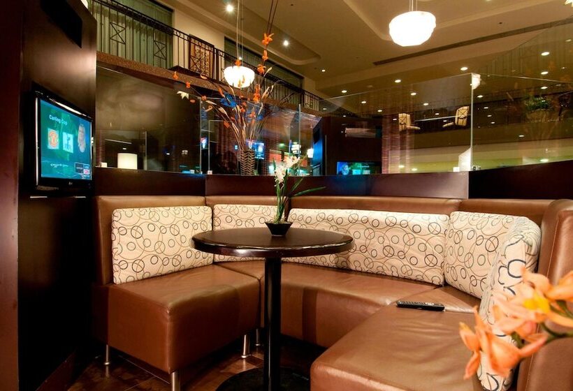 فندق Courtyard Toluca Airport