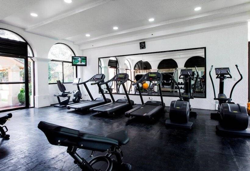 فندق Courtyard Toluca Airport