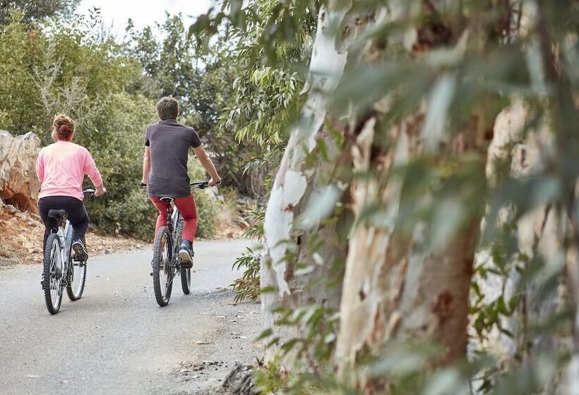 Elounda Palm Hotel & Suites