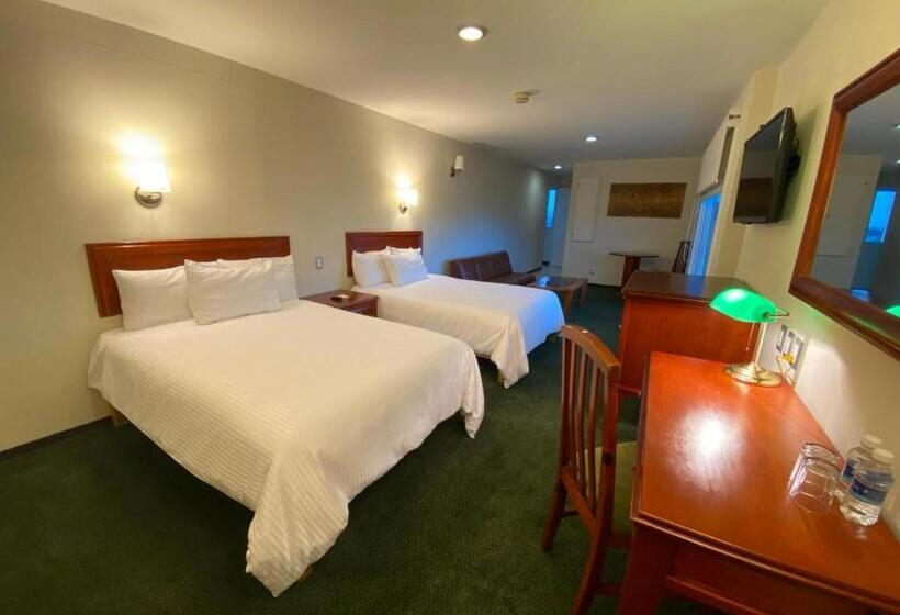 Отель Enterprise Inn Poliforum