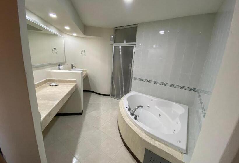 Отель Enterprise Inn Poliforum