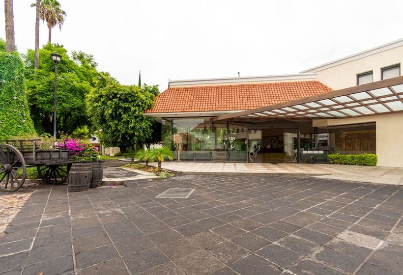 فندق Flamingo Inn