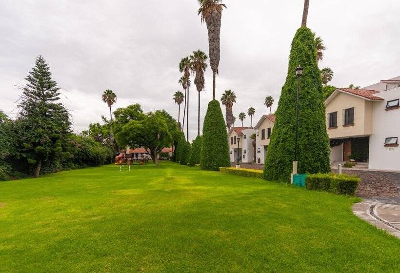 فندق Flamingo Inn