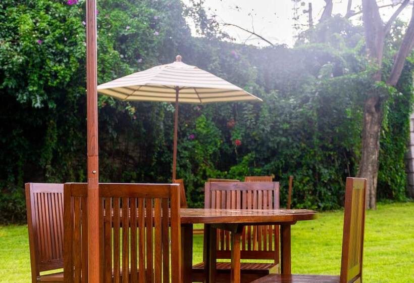 فندق Flamingo Inn