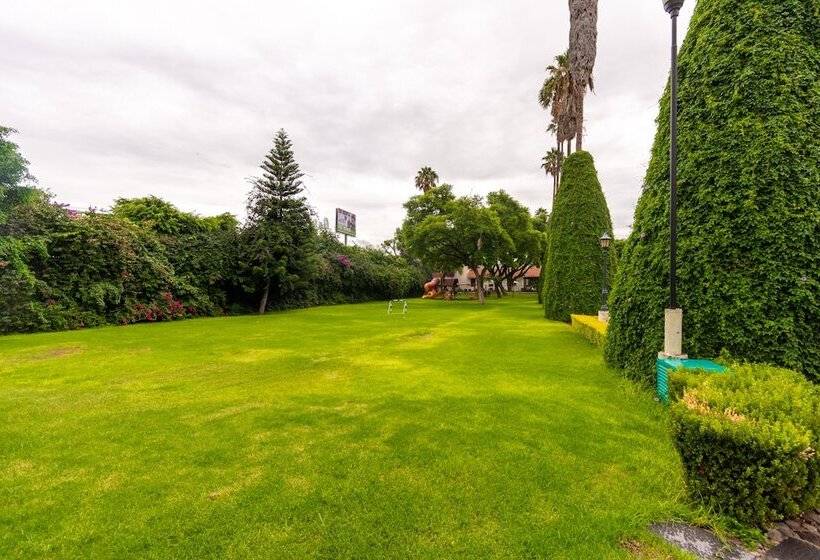 فندق Flamingo Inn