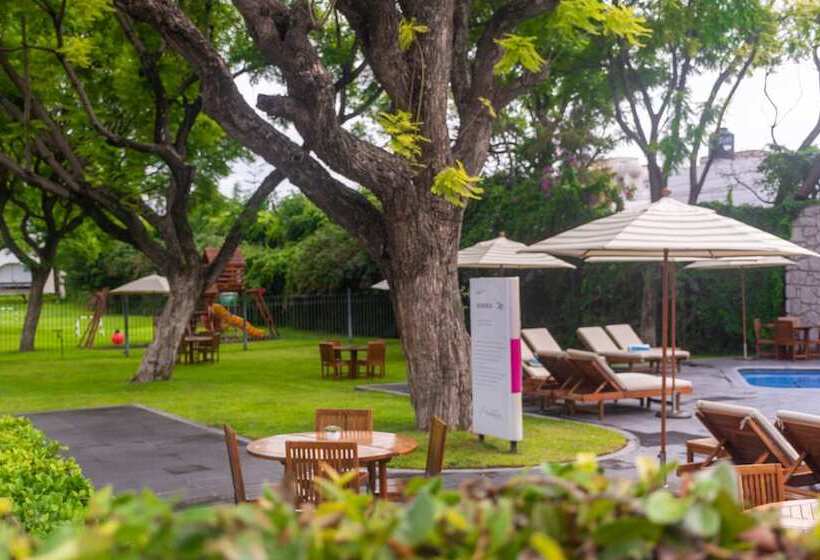 فندق Flamingo Inn