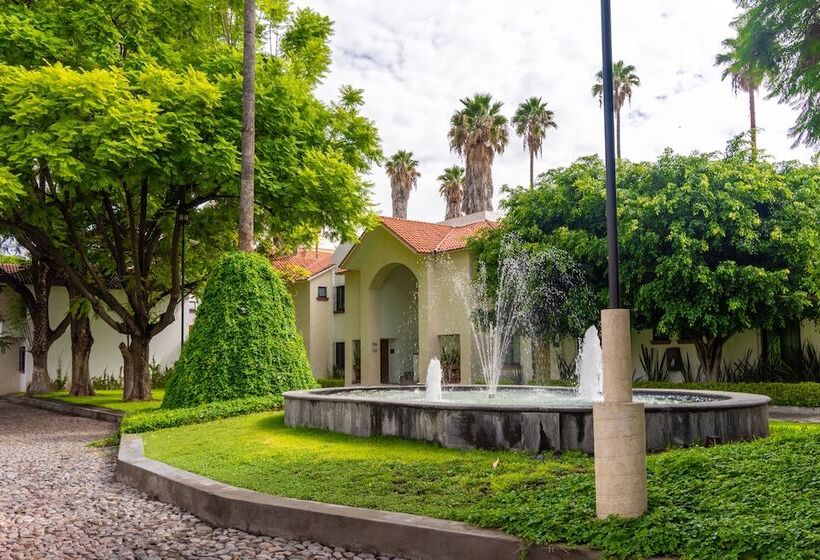 فندق Flamingo Inn