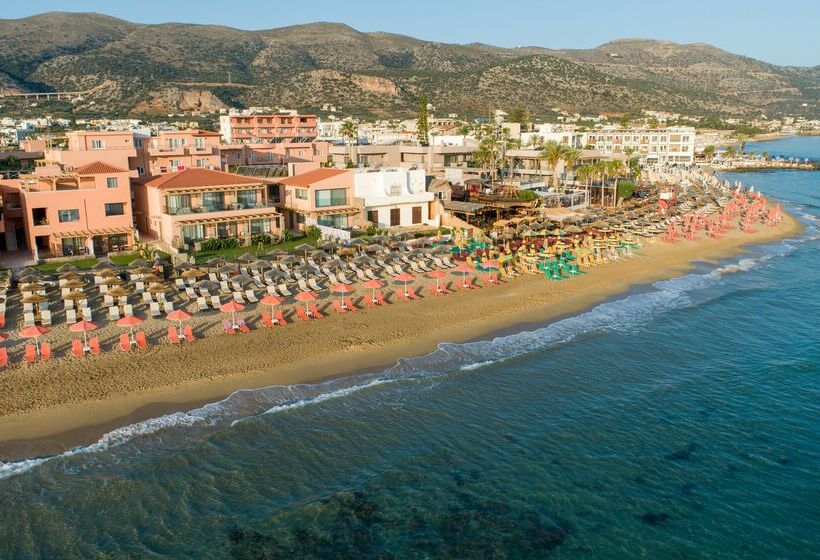 酒店 High Beach Resort