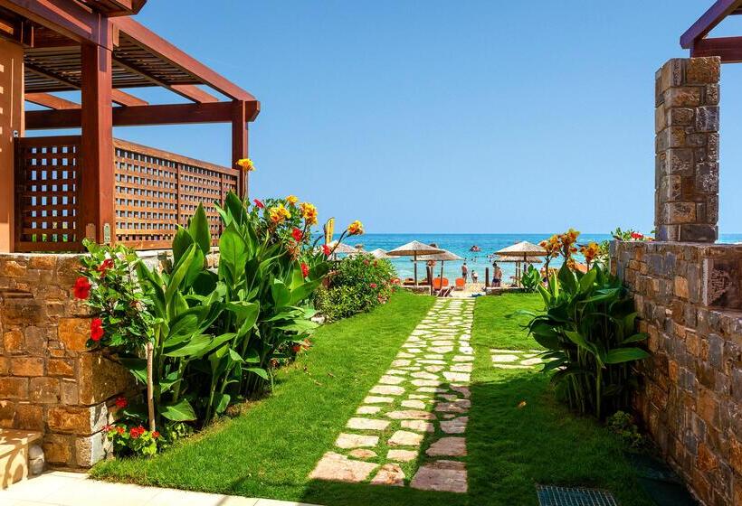 酒店 High Beach Resort