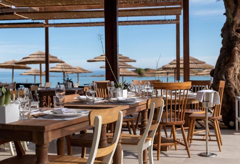 酒店 High Beach Resort