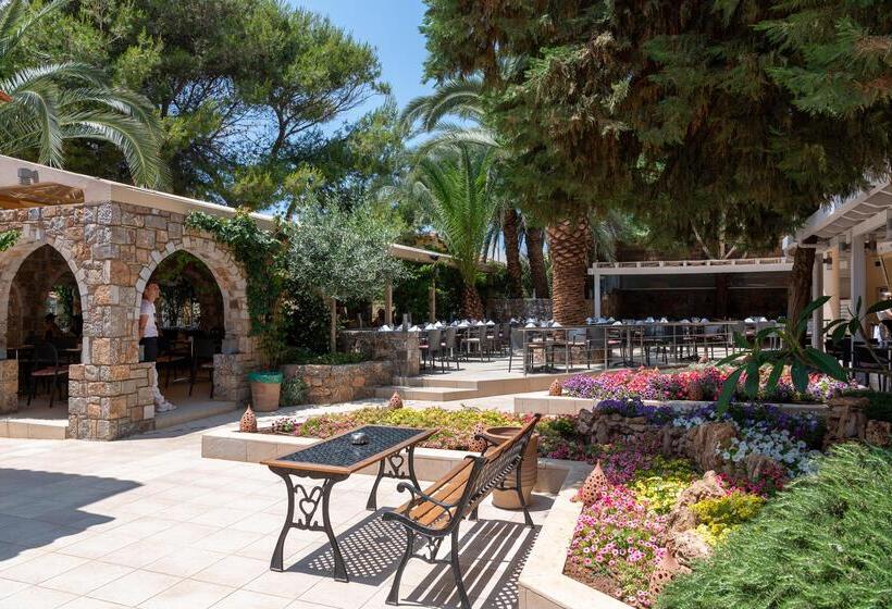 酒店 High Beach Resort