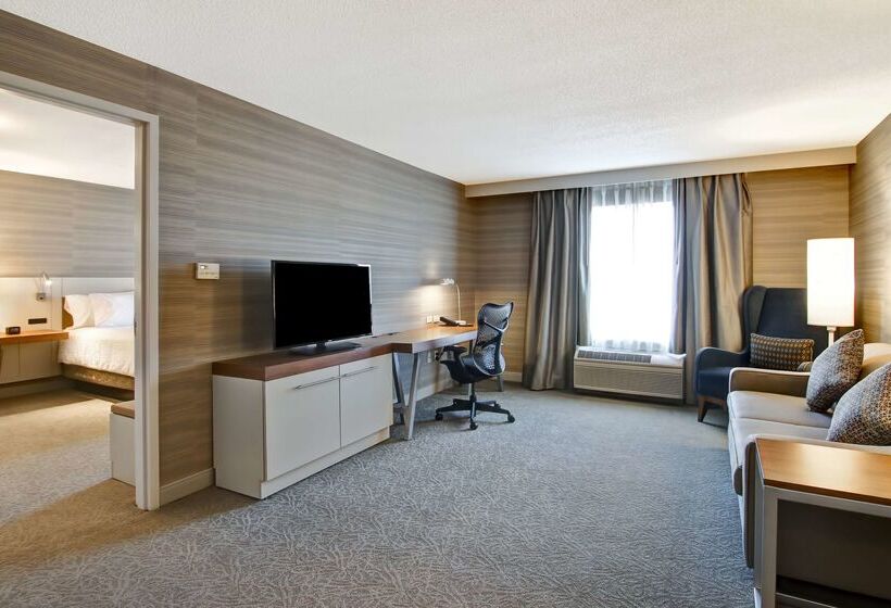 فندق Hilton Garden Inn Toronto Mississauga