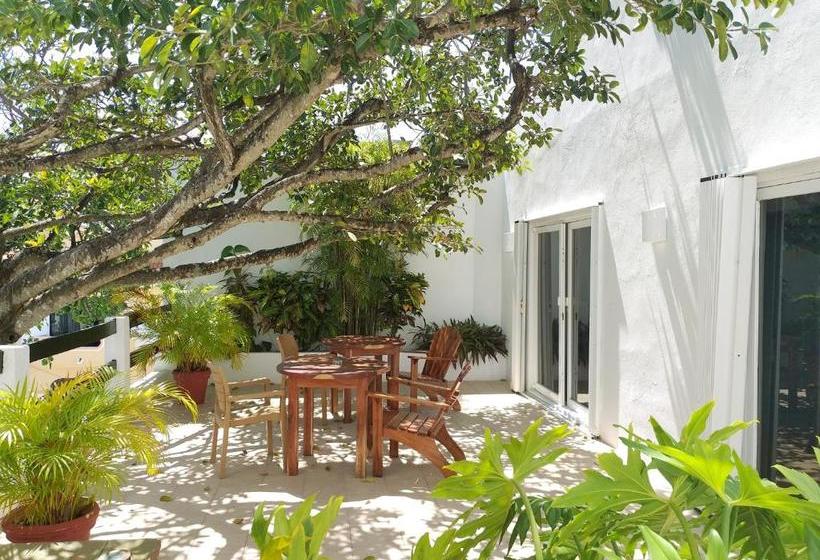 בית מלון כפרי Labnah