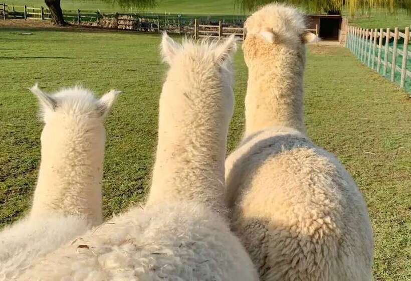 Отель Les Suites Domaine De Crécy