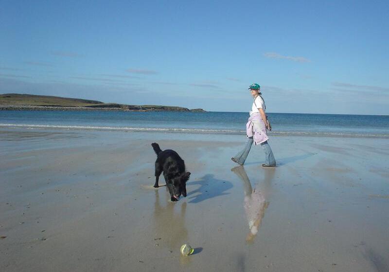 Отель Mansefield House