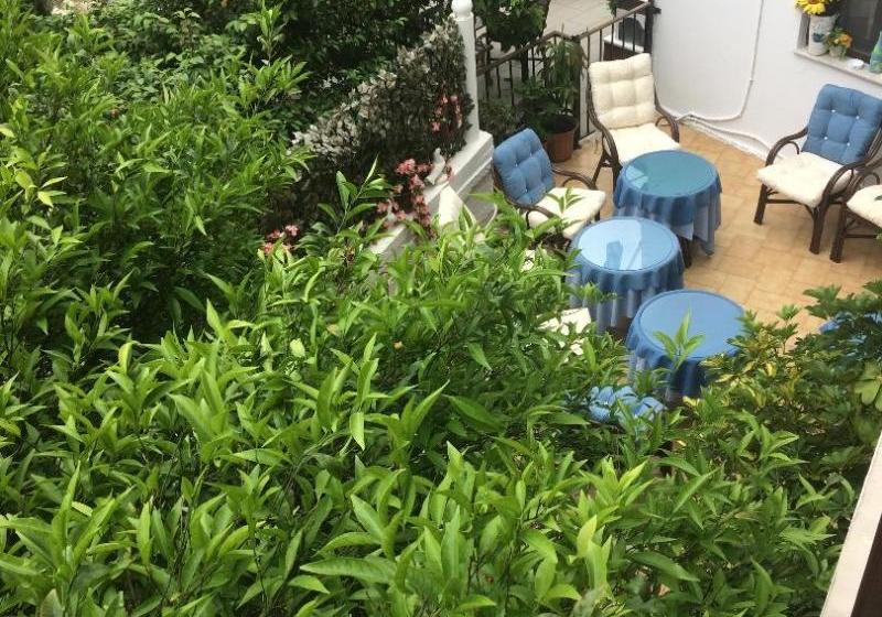 호텔 Pettite Morfo