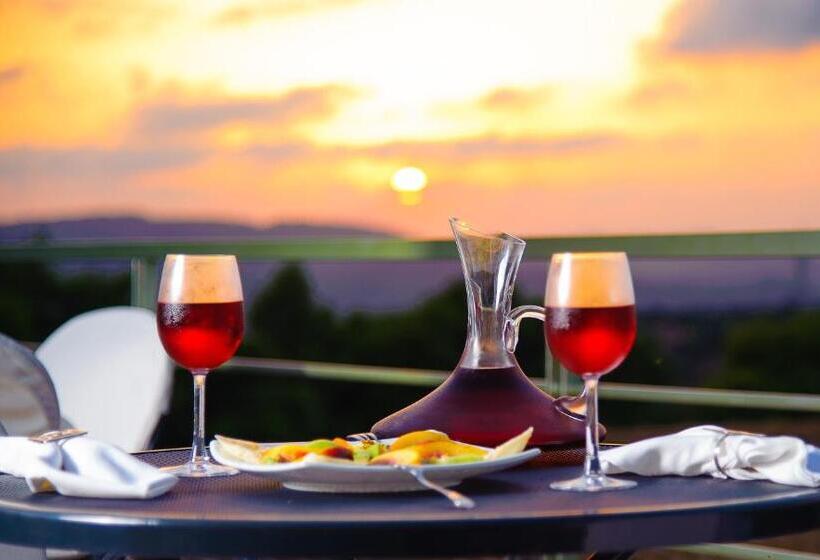 호텔 Olympion Asty