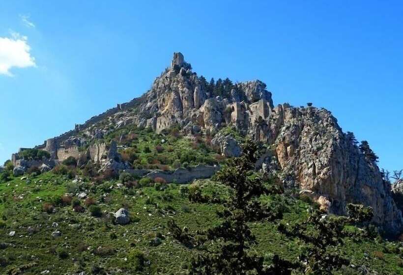 فندق Oscar Resort