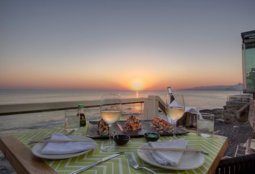 Palmera Beach Hotel & Spa   Adults Only