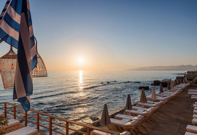 Palmera Beach Hotel & Spa   Adults Only