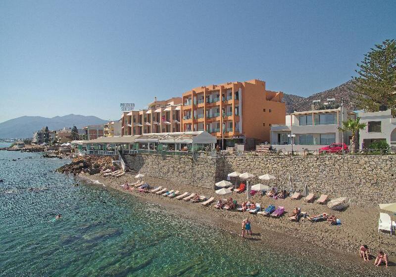Palmera Beach Hotel & Spa   Adults Only