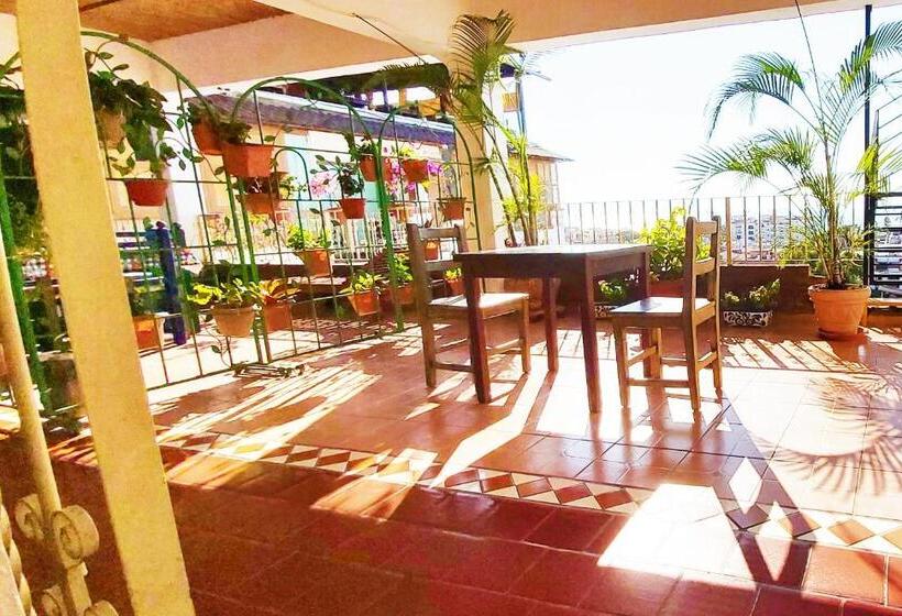 فندق Paloma Del Mar