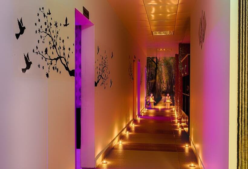 Pasa Beach Hotel   All Inclusive