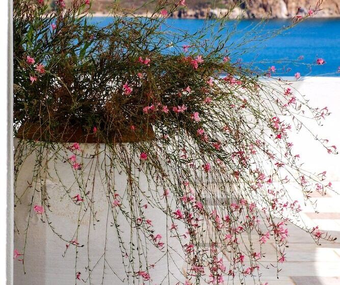 בית מלון כפרי Patmos Paradise