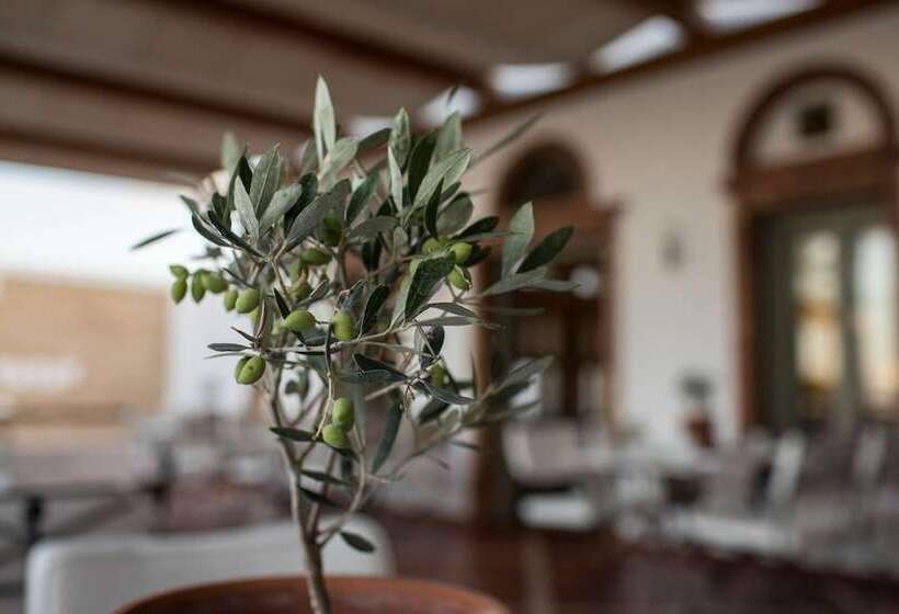 ホテル Porto Naxos