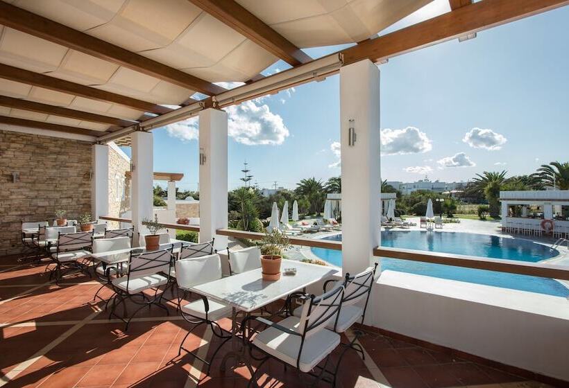 ホテル Porto Naxos