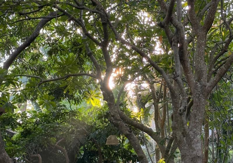 호텔 Rawi Warin Resort And Spa Sha Extra Plus