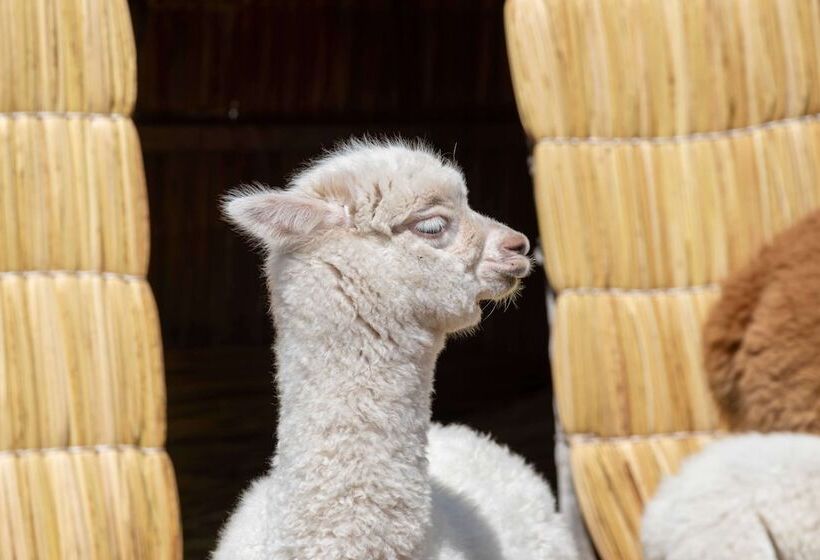 هتل Sonesta Posadas Del Inca Puno