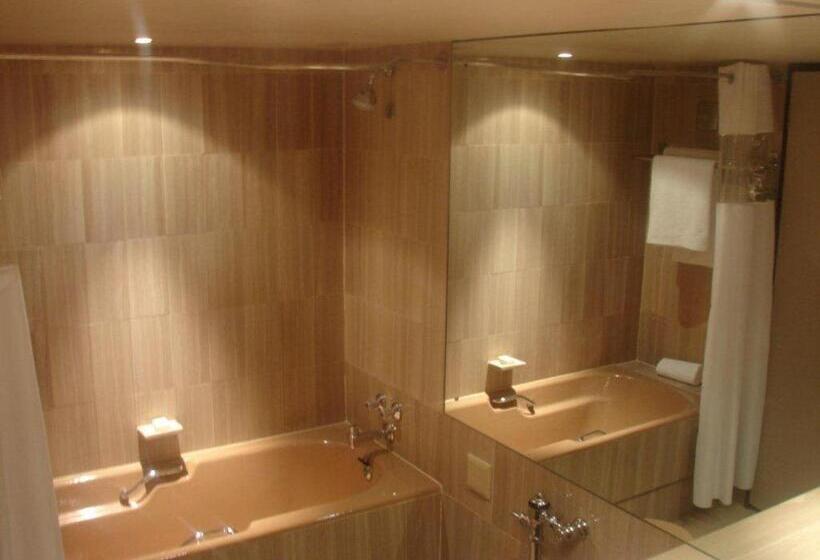 酒店 Southern Sun Cape Sun