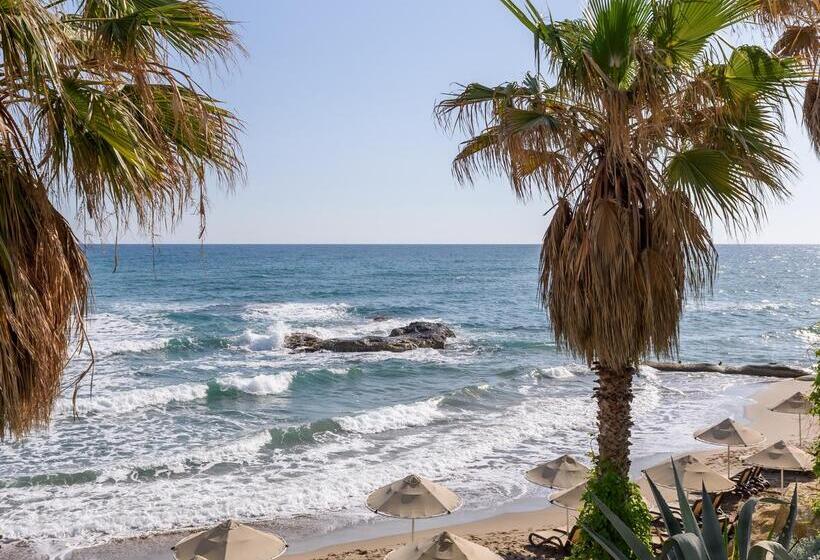 호텔 Star Beach Village & Water Park