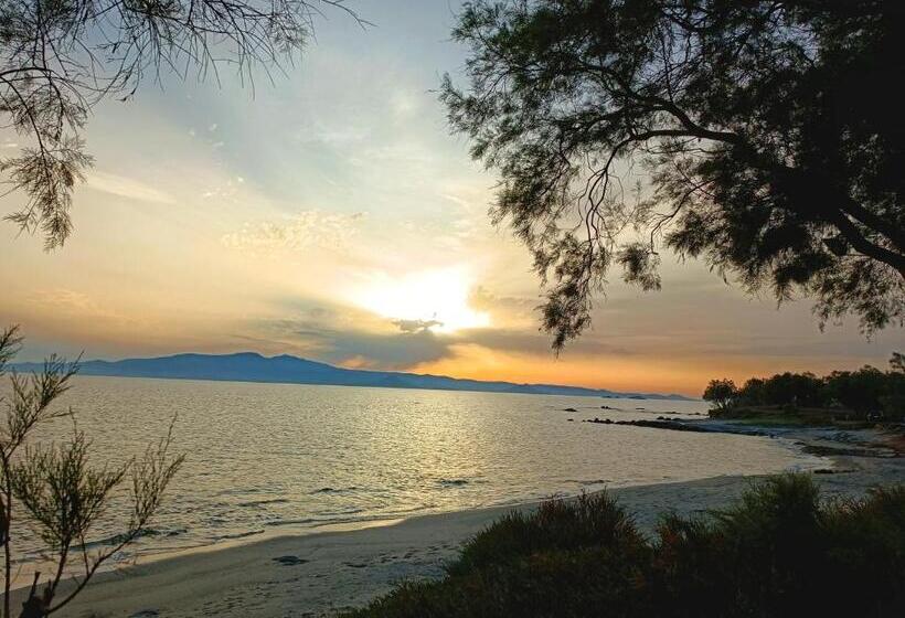 Отель Naxos Summerland Resort